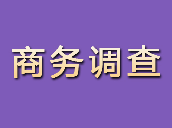 漳平商务调查